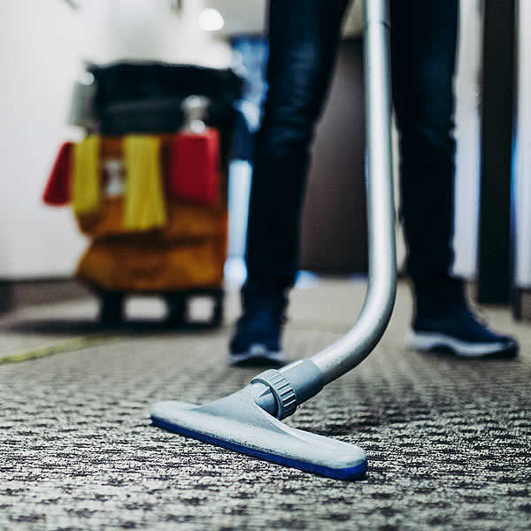 FMN Services |MA professional carpet cleaning services